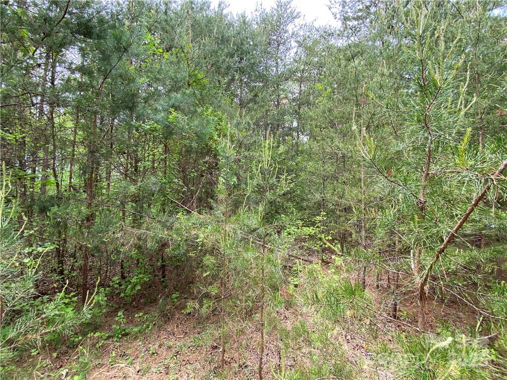 Sundance Hills - Land