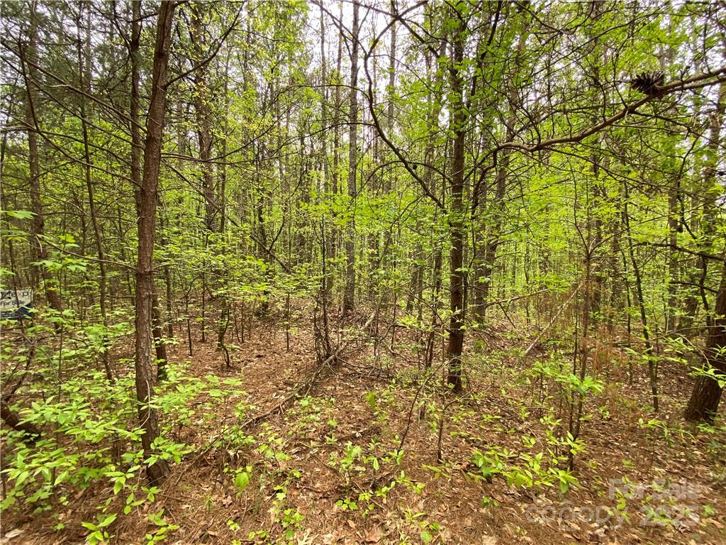 Sundance Hills - Land