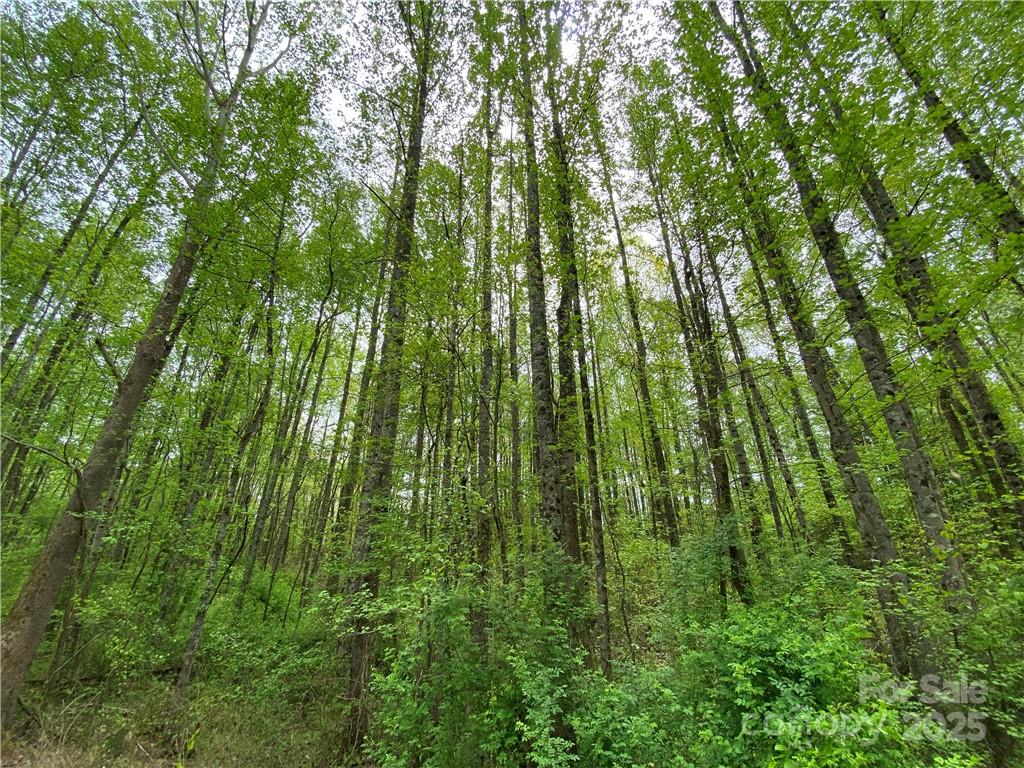 Sundance Hills - Land