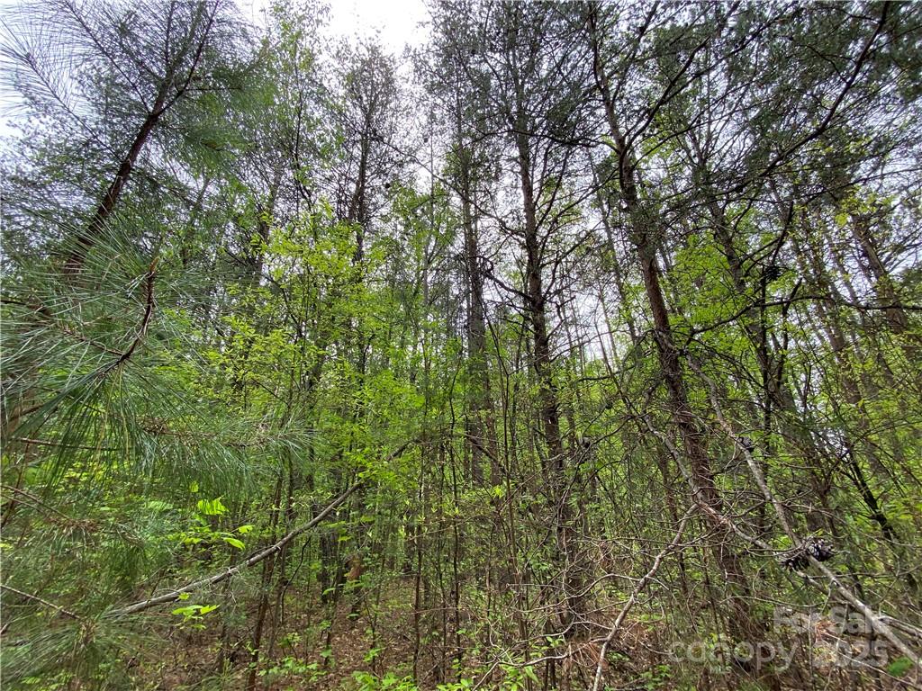 Sundance Hills - Land