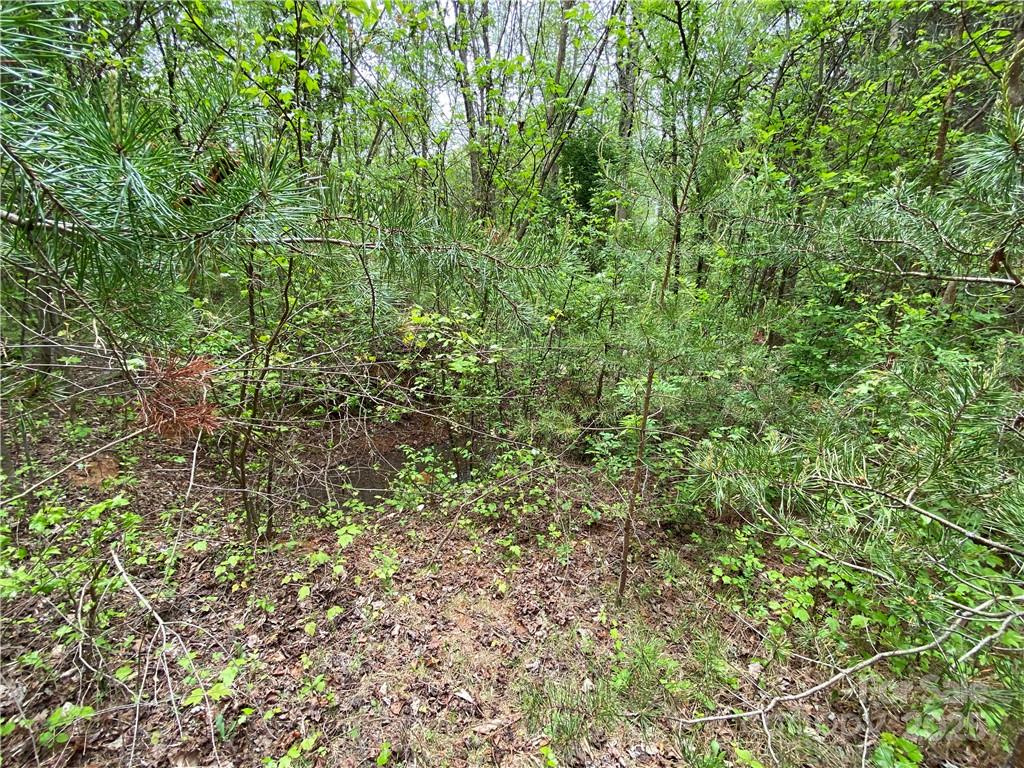 Sundance Hills - Land