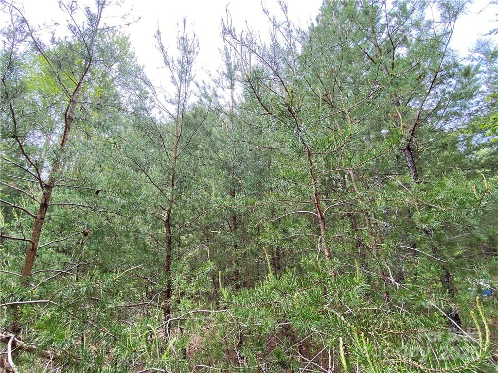 Sundance Hills - Land