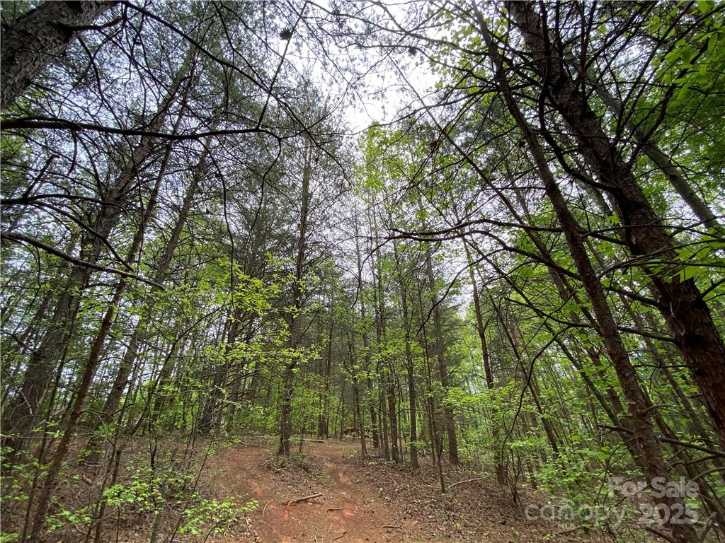 Sundance Hills - Land