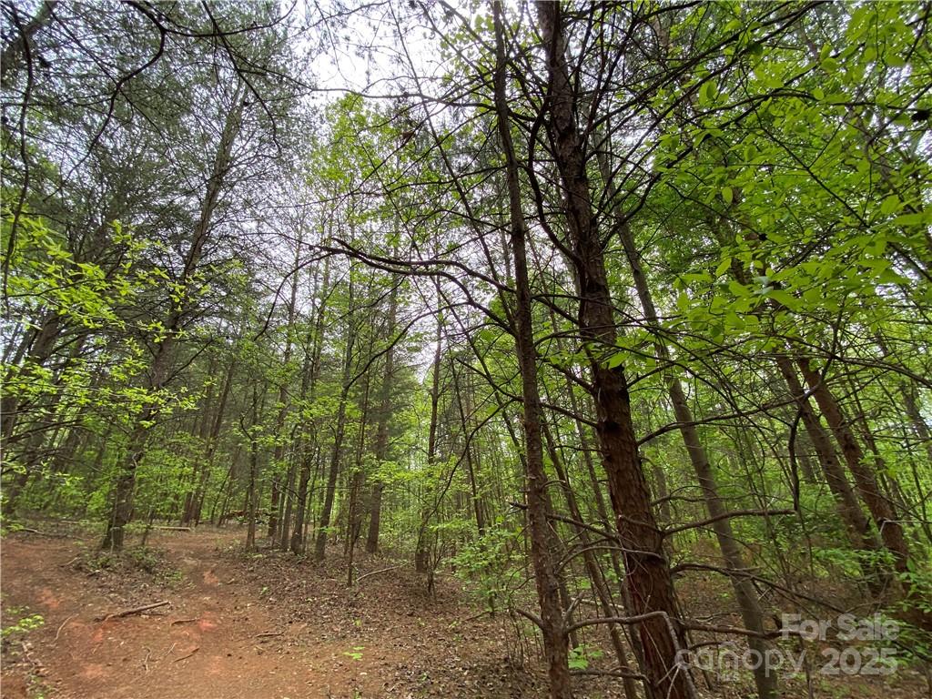 Sundance Hills - Land