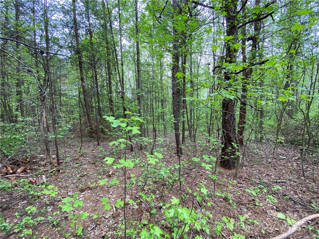 Sundance Hills - Land