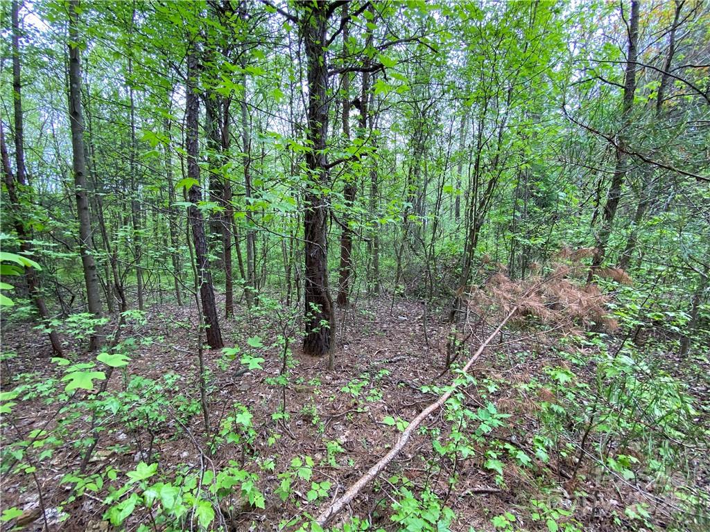 Sundance Hills - Land