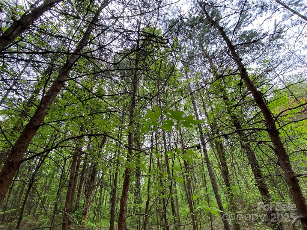 Sundance Hills - Land