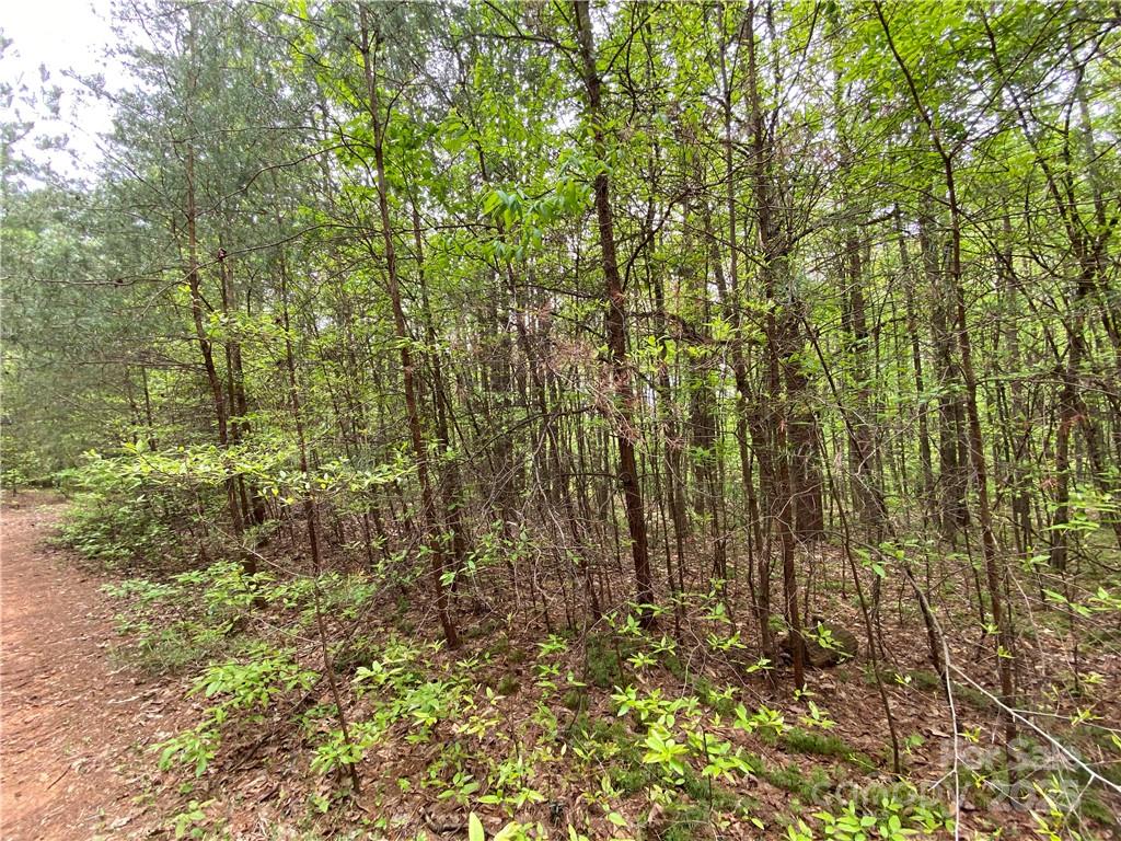 Sundance Hills - Land