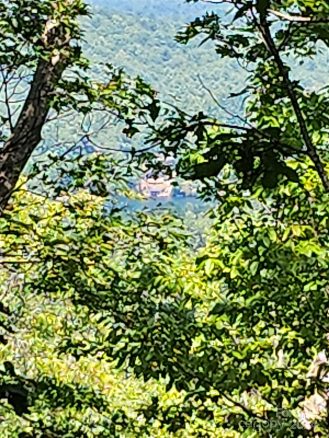 Lake Toxaway Estates - Land