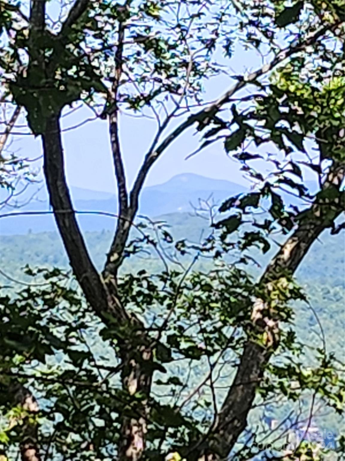 Lake Toxaway Estates - Land