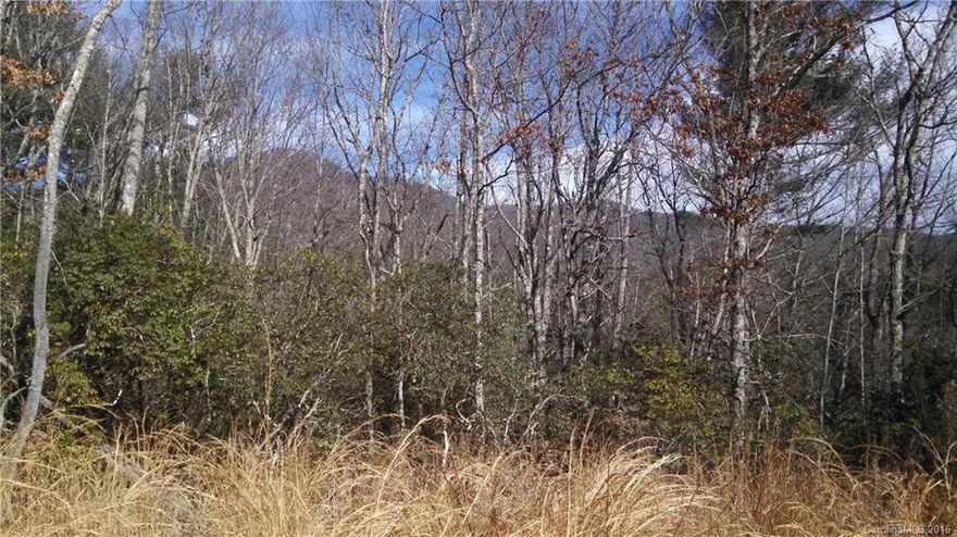Two pin #s, two lots. Level, easy build. Shared driveway with luxury home. Consider purchasing along with 122 Carpenter with its 12 acres. Level building site. Wonderful potential views with tree clearing. 15 min to shopping and major medical. Easy access on to Blue Ridge Parkway!