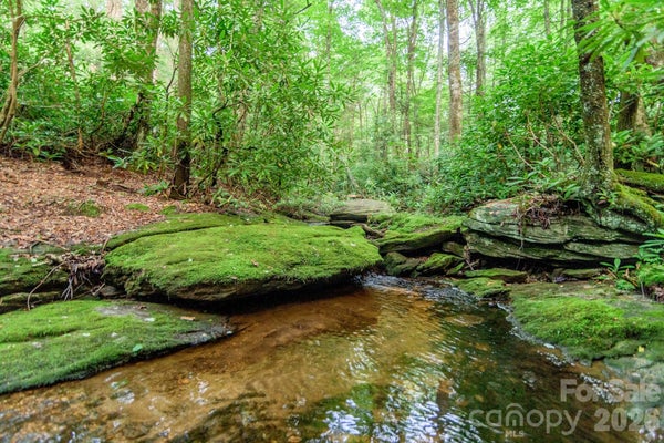 KILKENNEY, BOONE, NC 28607 - Image bc48909ea64655d0d6d7c7b96397e2f7/471068178