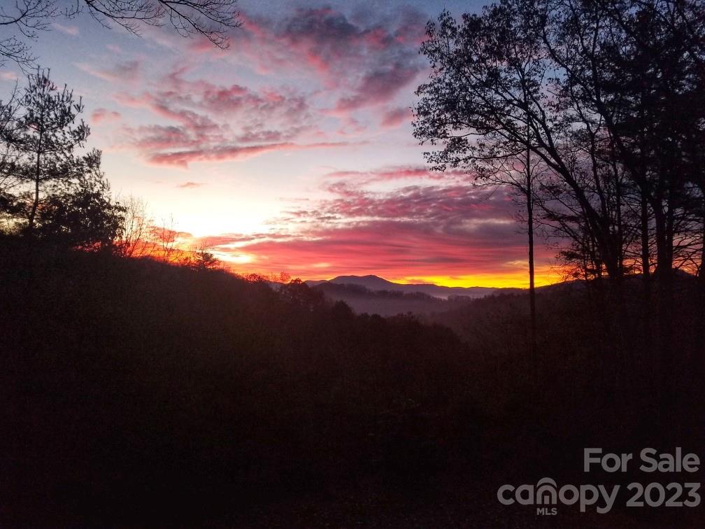 Twin Oaks Estate - Residential