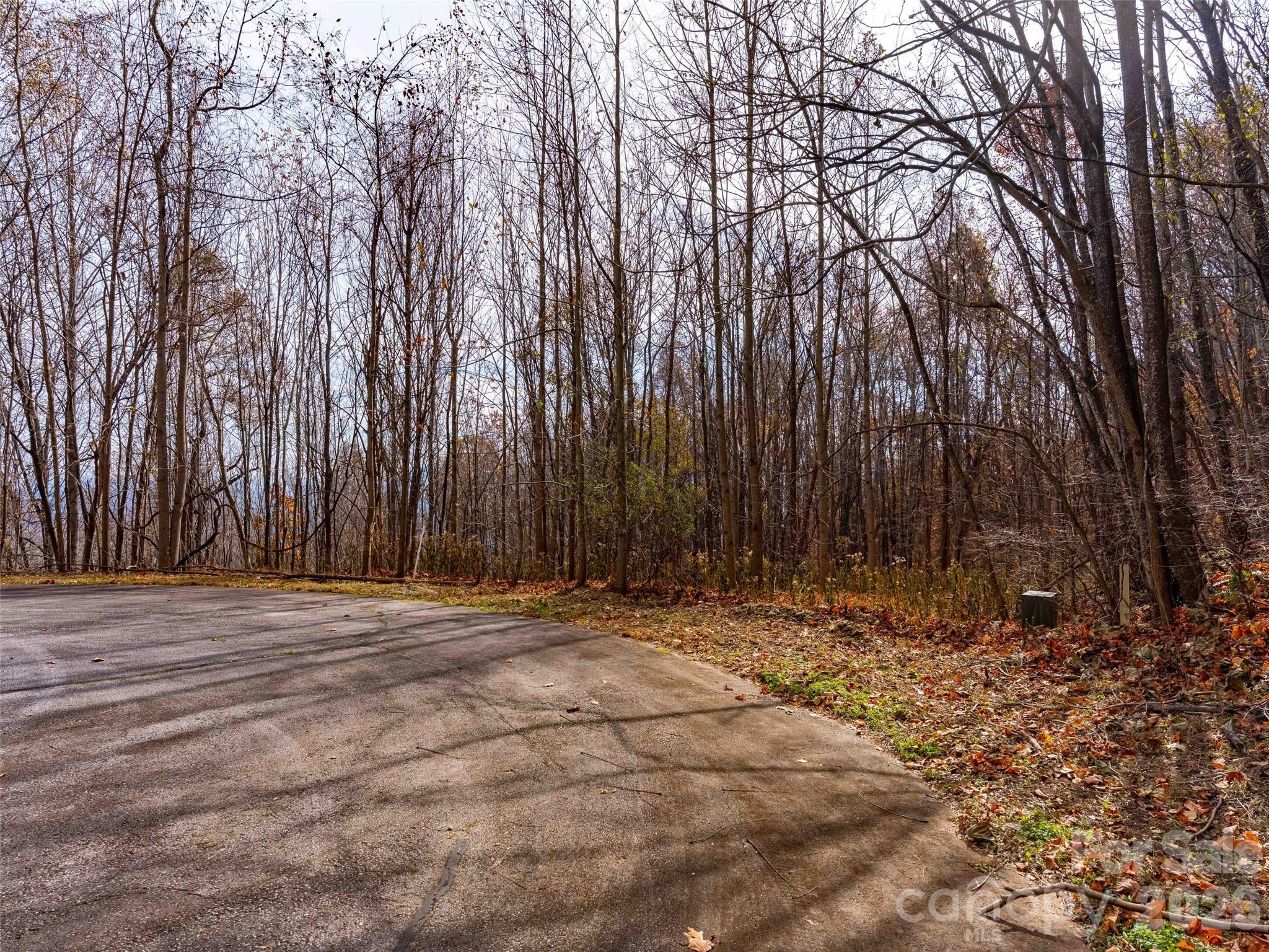 Brights Creek - Land