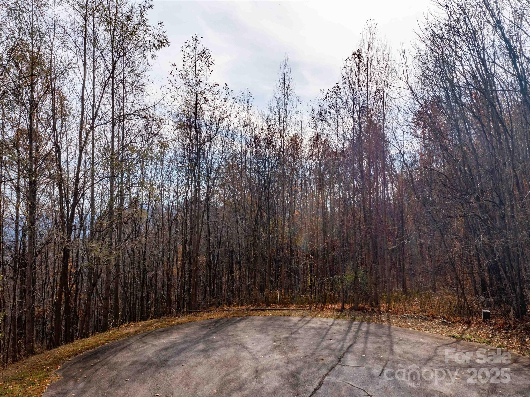 242 Nottingham Drive