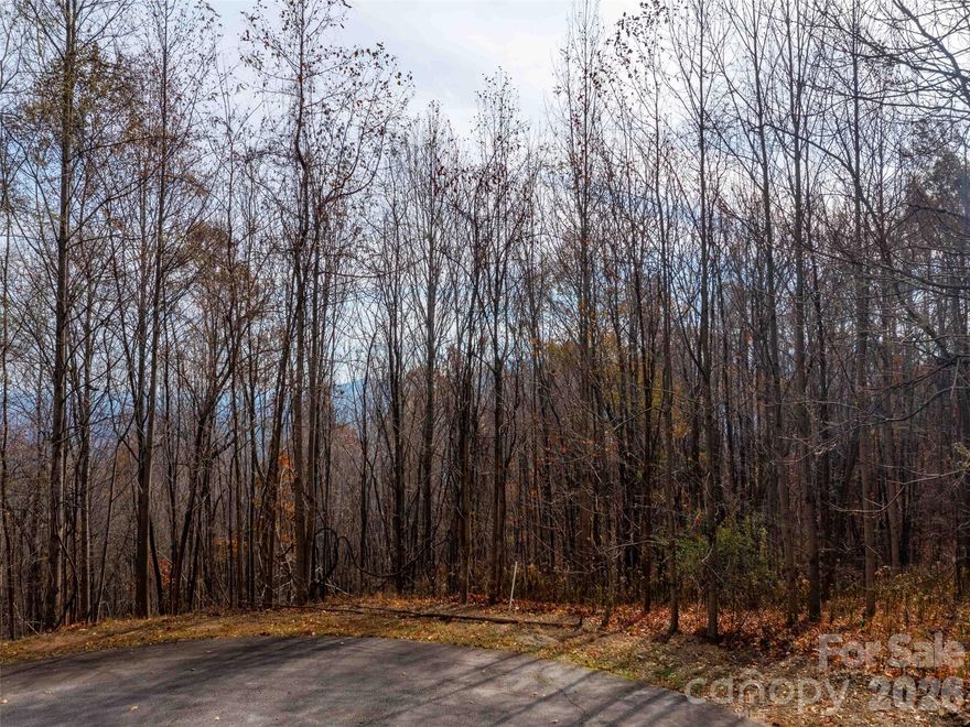 This large private cul-de-sac lot has a gentle slope and currently winter mountain views, Bright's Creek is a beautiful development with paved roads, fiber optic, water, sewer, & natural gas. Community offers 24 hour staffed greeters cottage and many scenic walking trails including a waterfall trail. Brights Creek Club offers a 19 hole Tom Fazio championship golf course, tennis/pickleball, and mountain lodge with restaurant and bar. New Amenity area features an outdoor heated pool, two lane bowling, fitness, casual dining, and many beautiful gathering spaces with a huge stone fireplace and full bar. Make an appointment to experience Bright's Creek today.