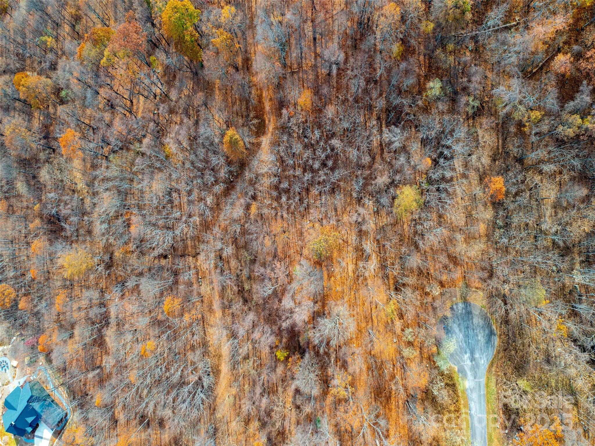 242 Nottingham Drive