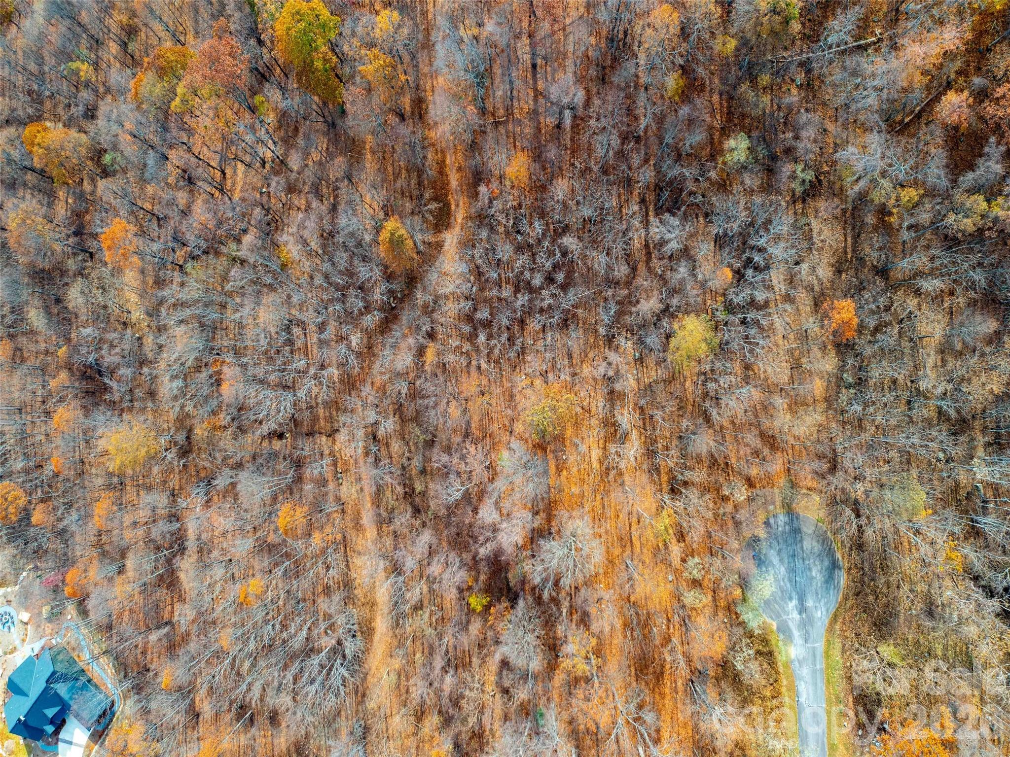 242 Nottingham Drive