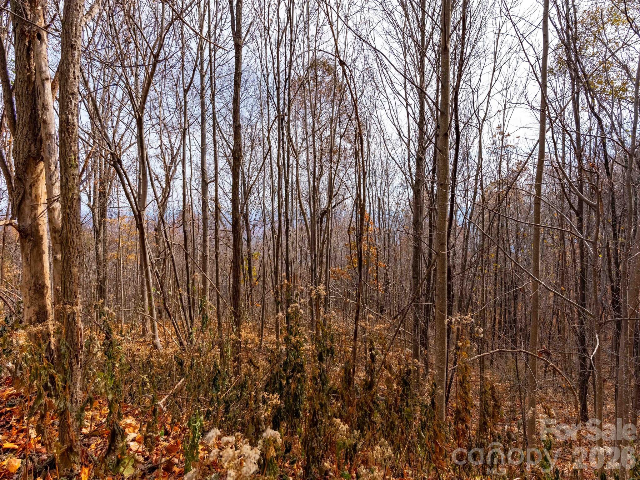 Brights Creek - Land