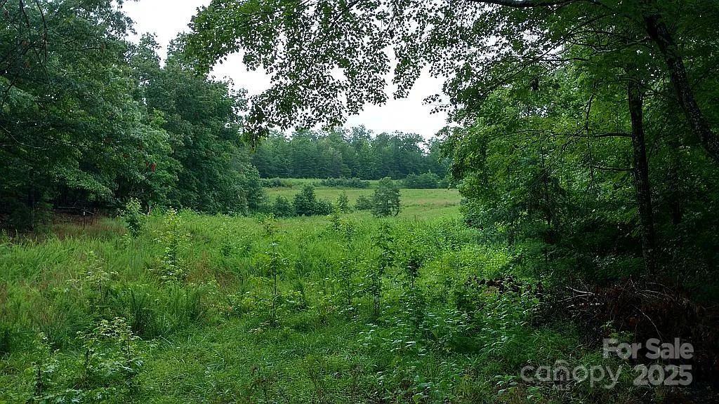 The Peninsula at Lake James - Land