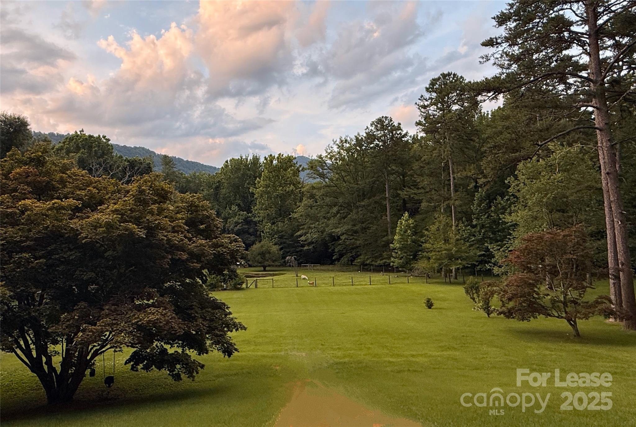 None - Residential Lease