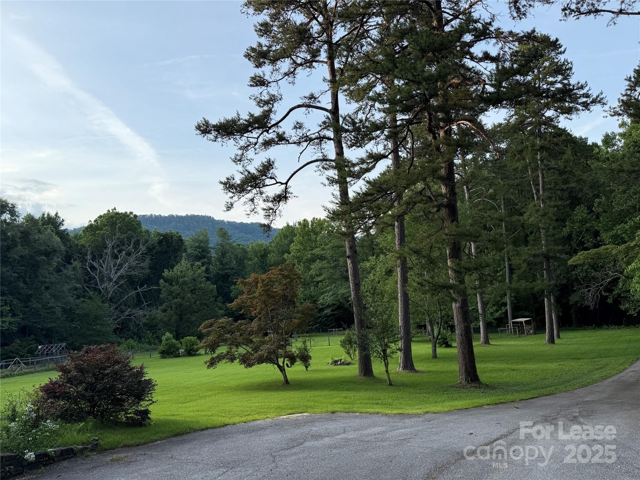 None - Residential Lease