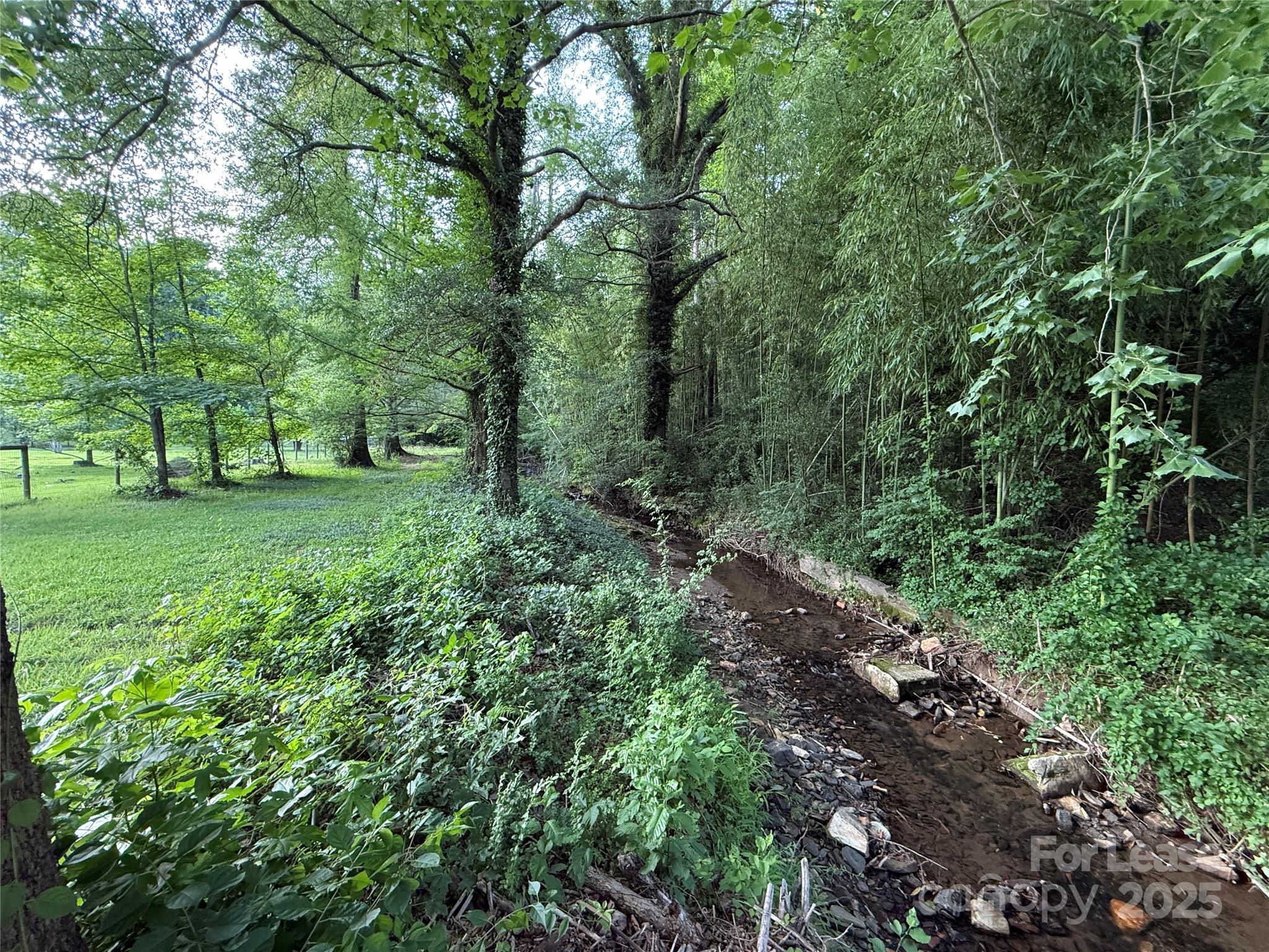 None - Residential Lease