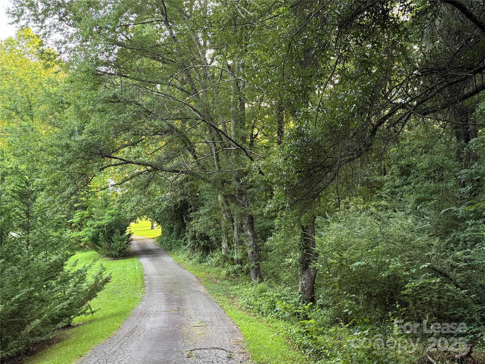 None - Residential Lease