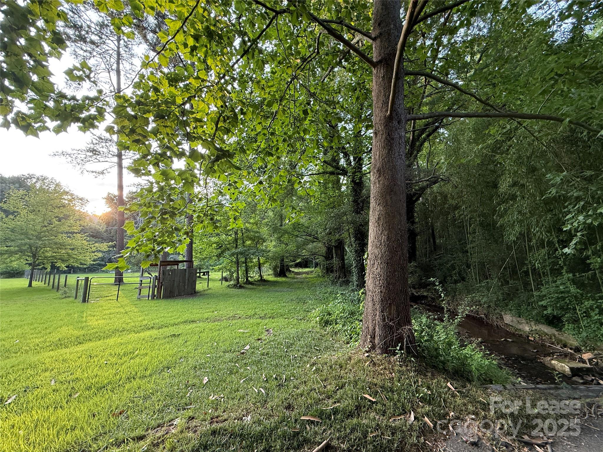 None - Residential Lease