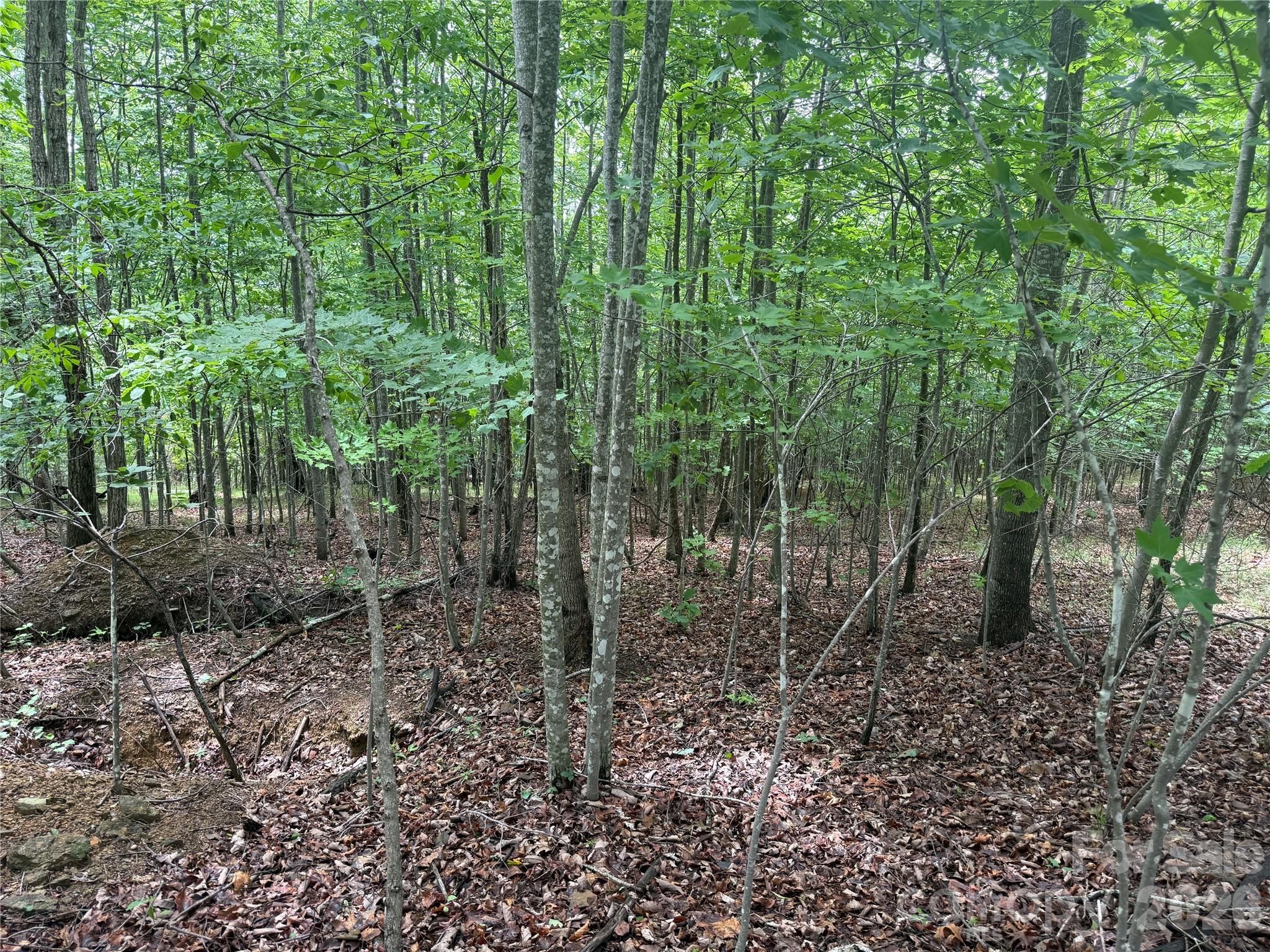 V/L Scenic Vista Drive 246