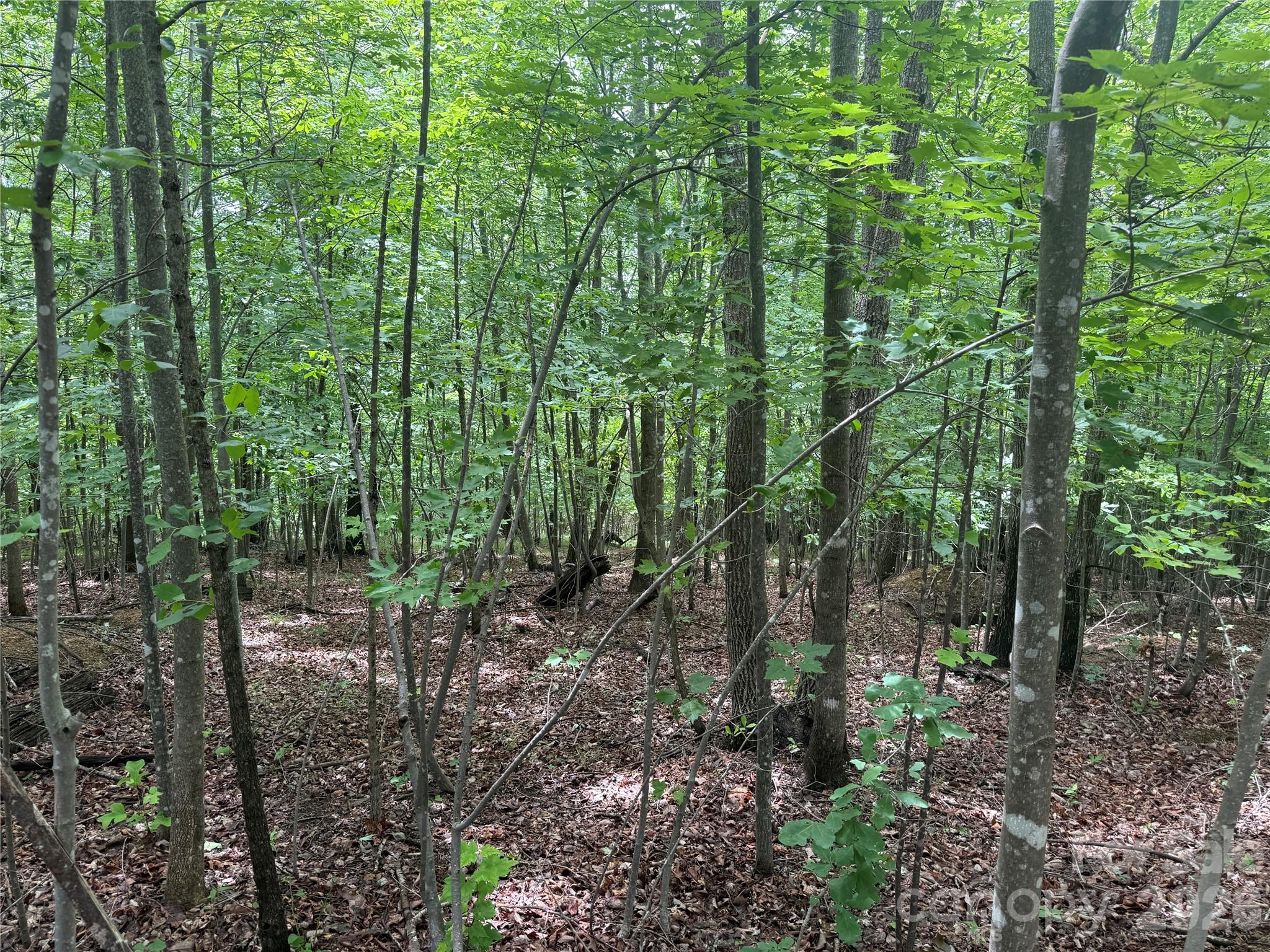 V/L Scenic Vista Drive 246