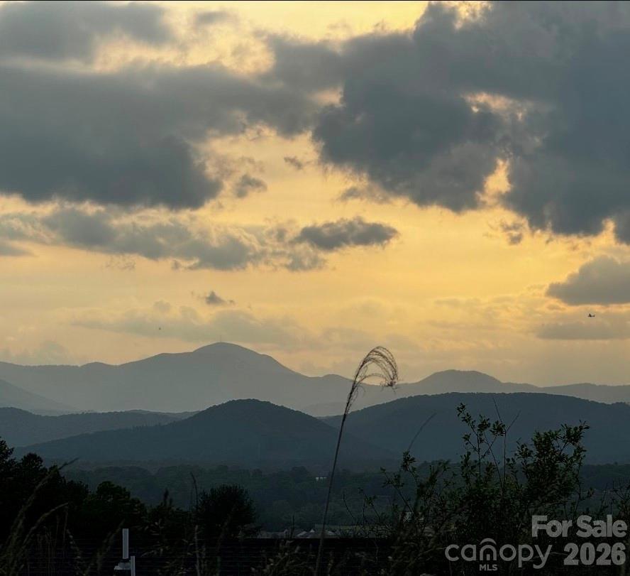 Sycamore Cottages - Residential