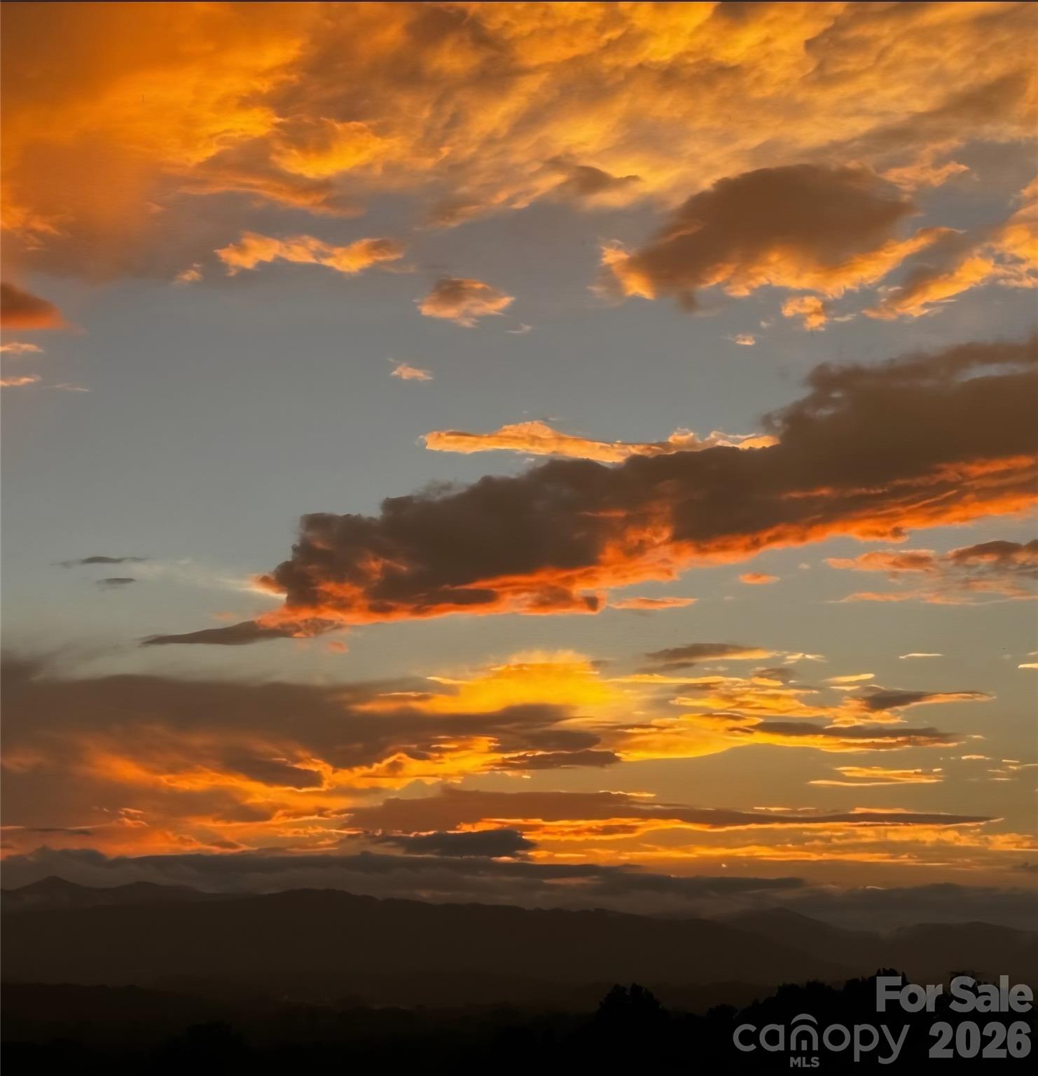 Sycamore Cottages - Residential