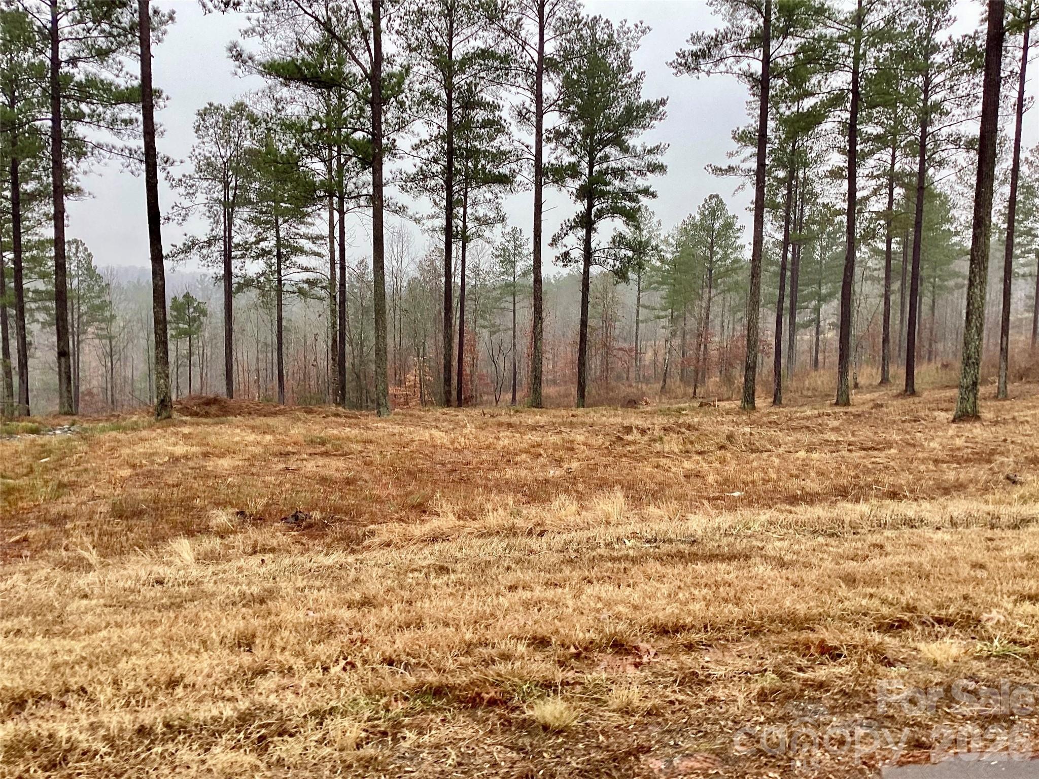 Lakeside Reserve - Land