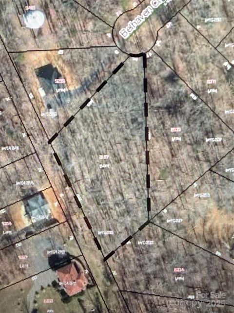 338 Belhaven Court Mount Gilead NC 27371