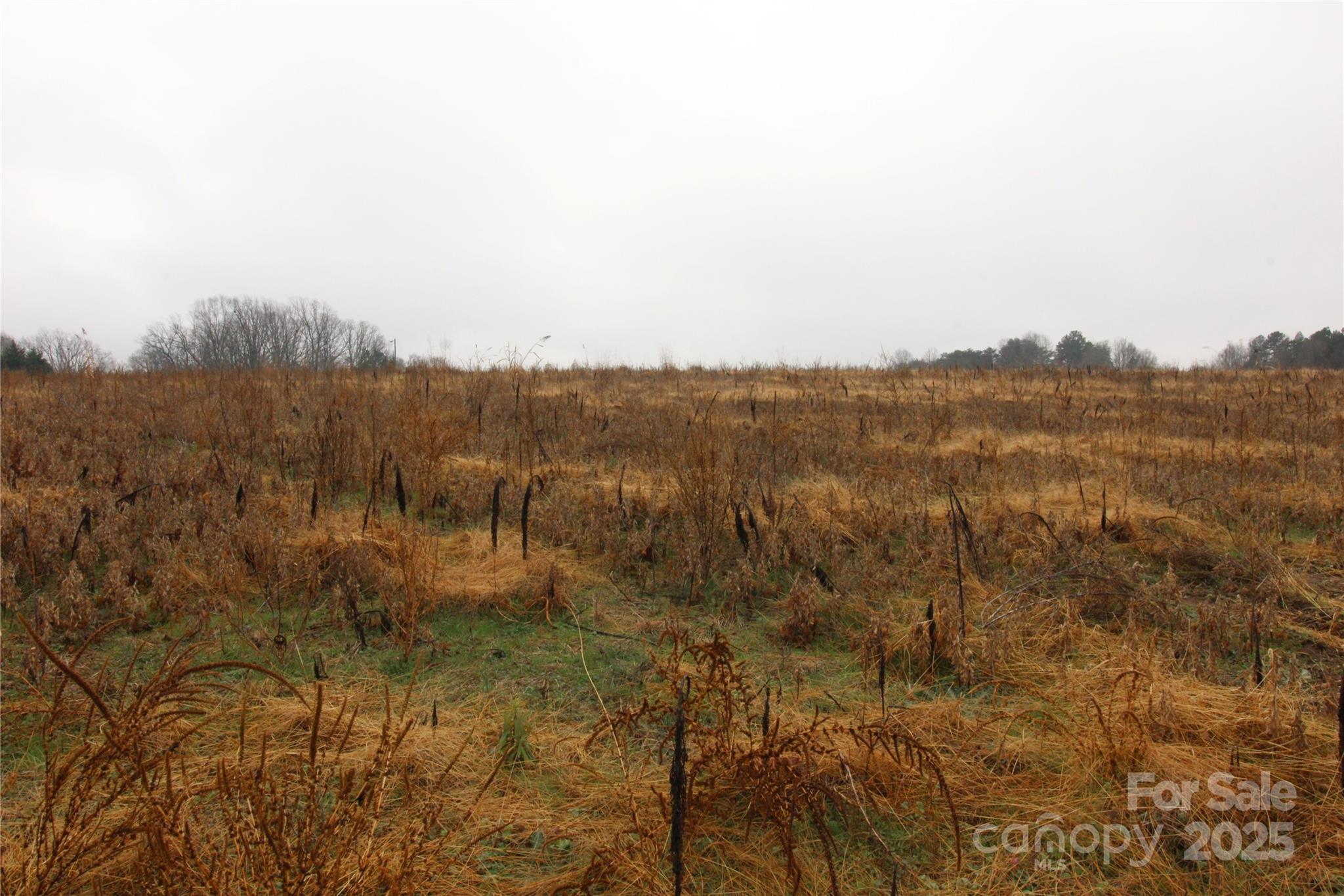 LOT B 3+/-AC Bess Road