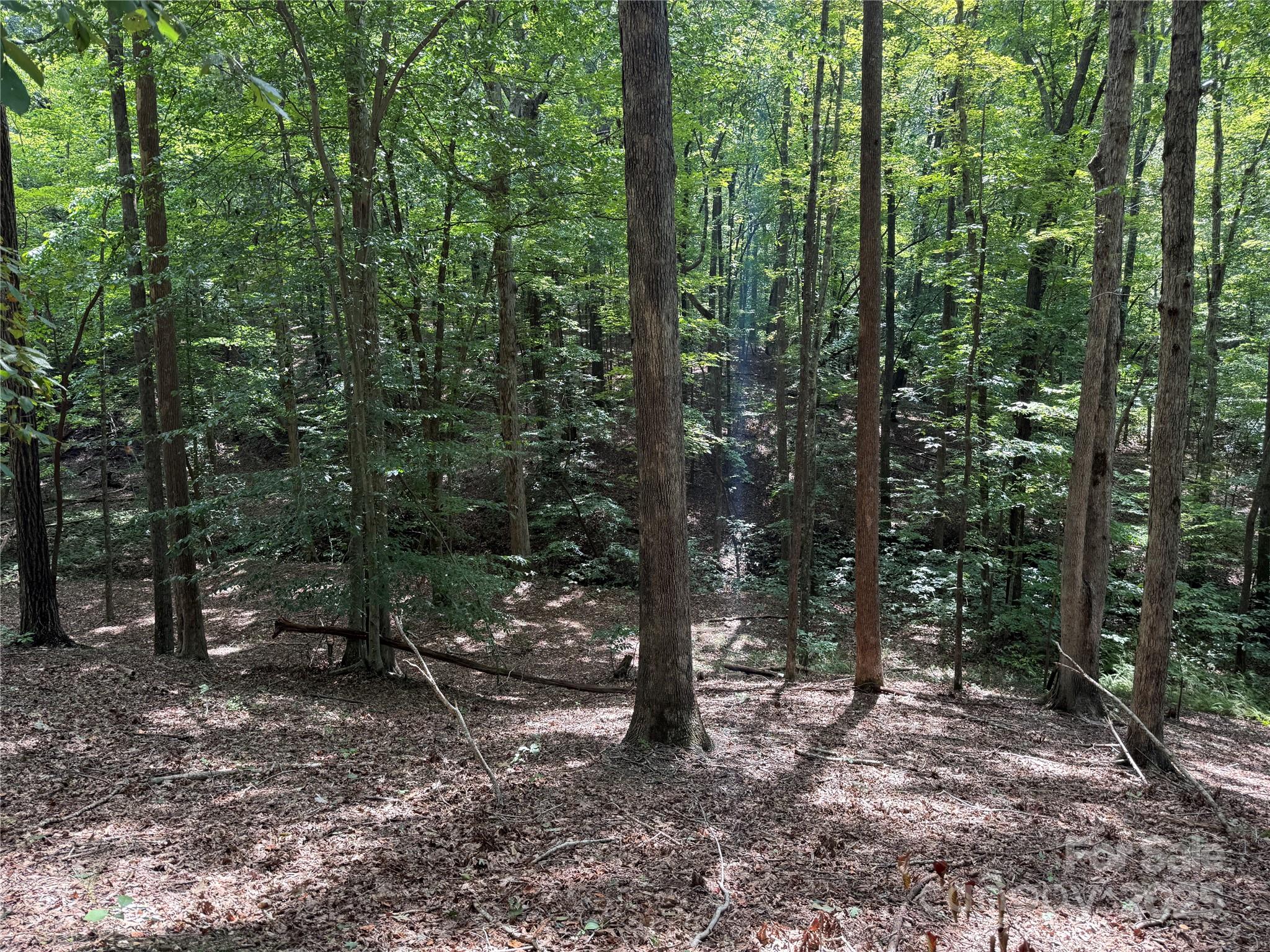 0 Mountain Brook Trail 298