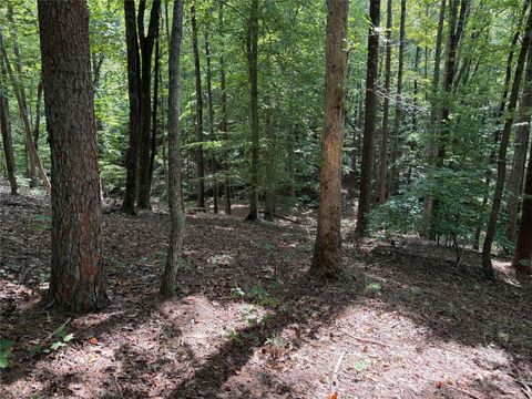 0 Mountain Brook Trail 298 Nebo NC 28761