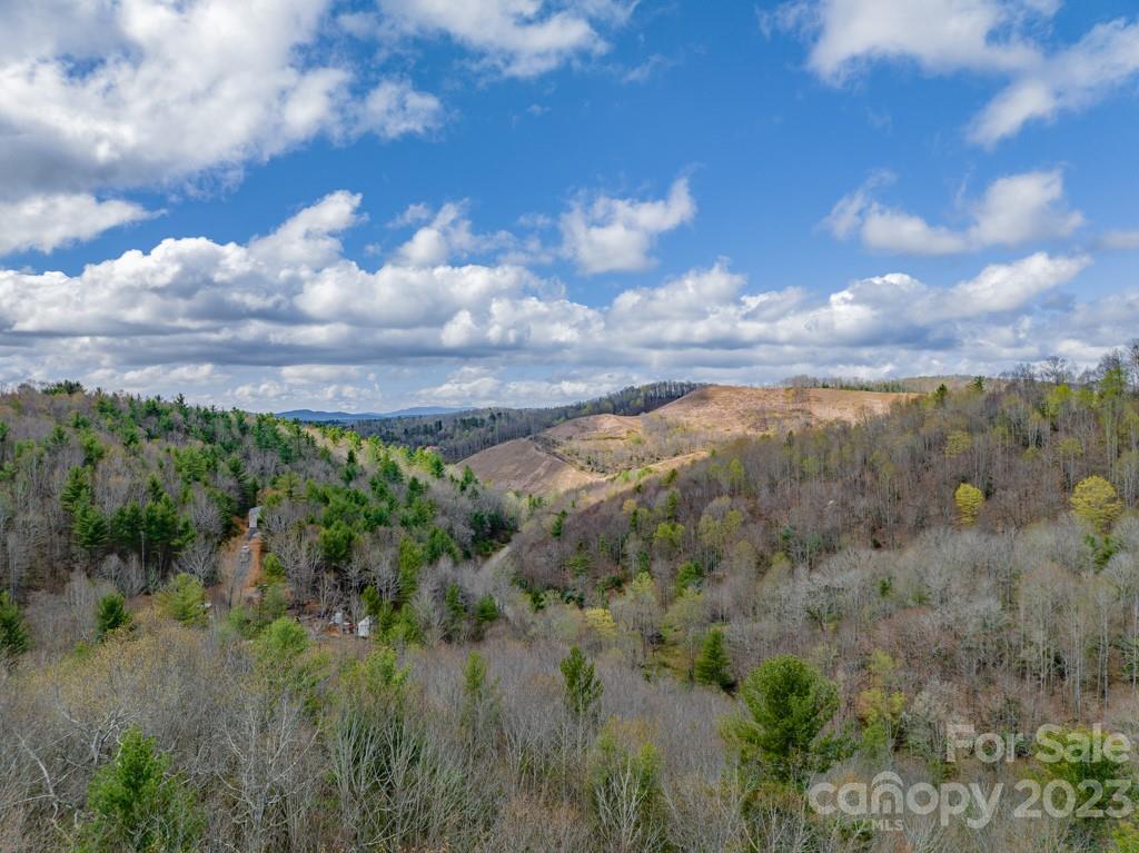 Christmas Mountain - Residential