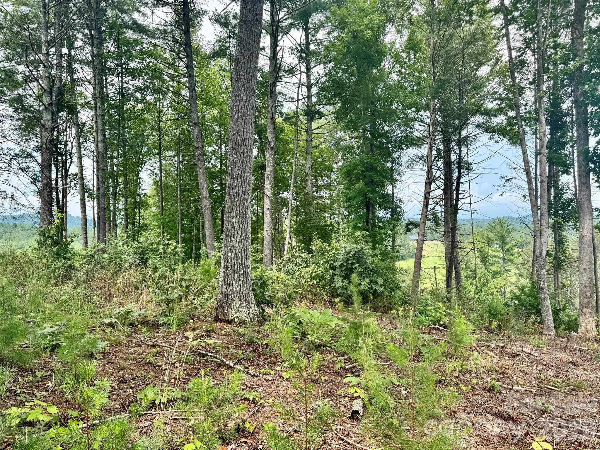 2070 Thoroughbred Way Unit G18, Lenoir, NC, 28645