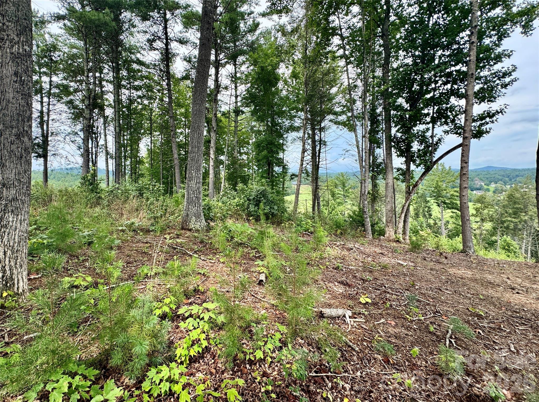 Lot G18, 2070 Thoroughbred Way G18