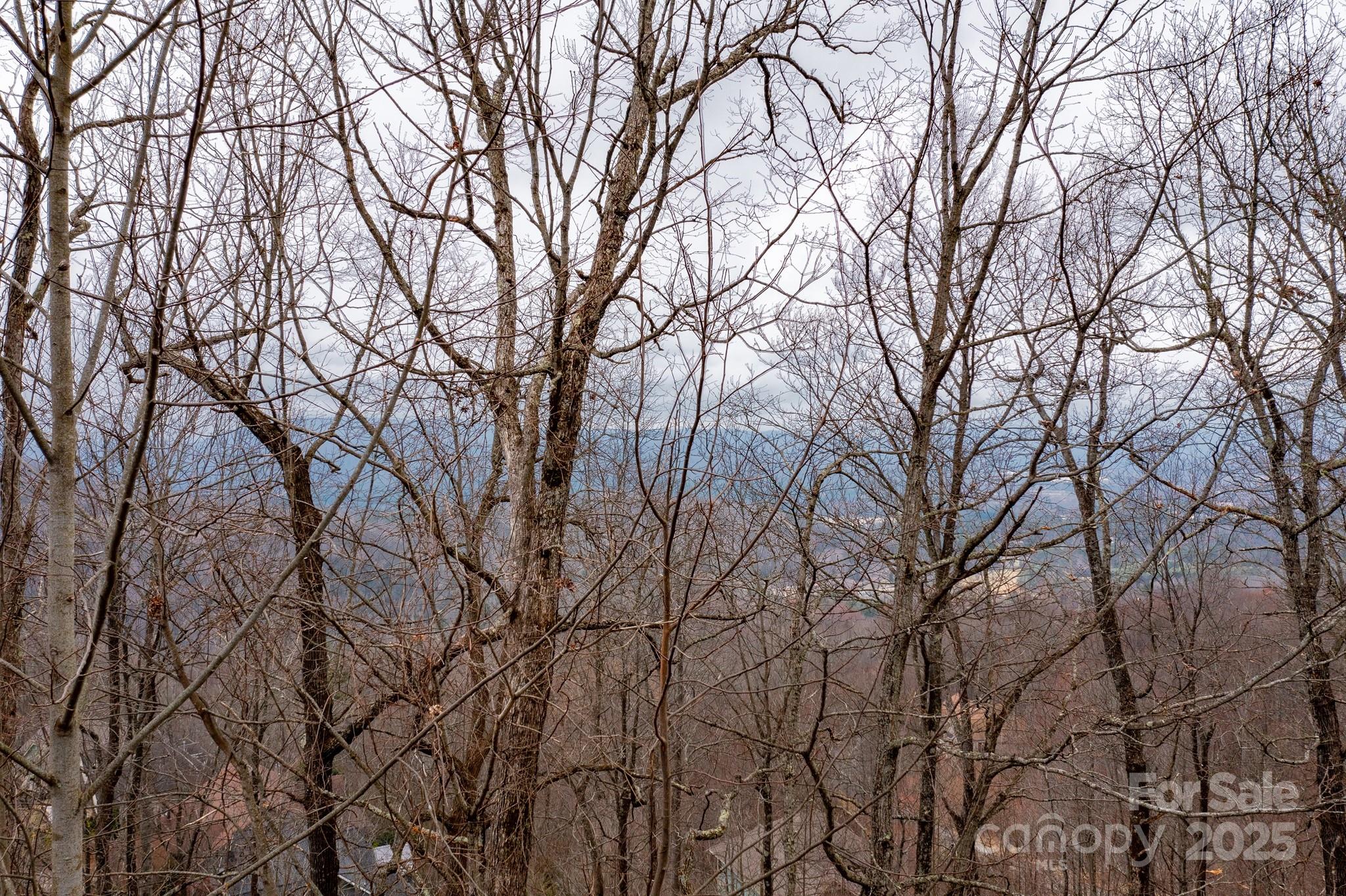 Somersby Park - Land