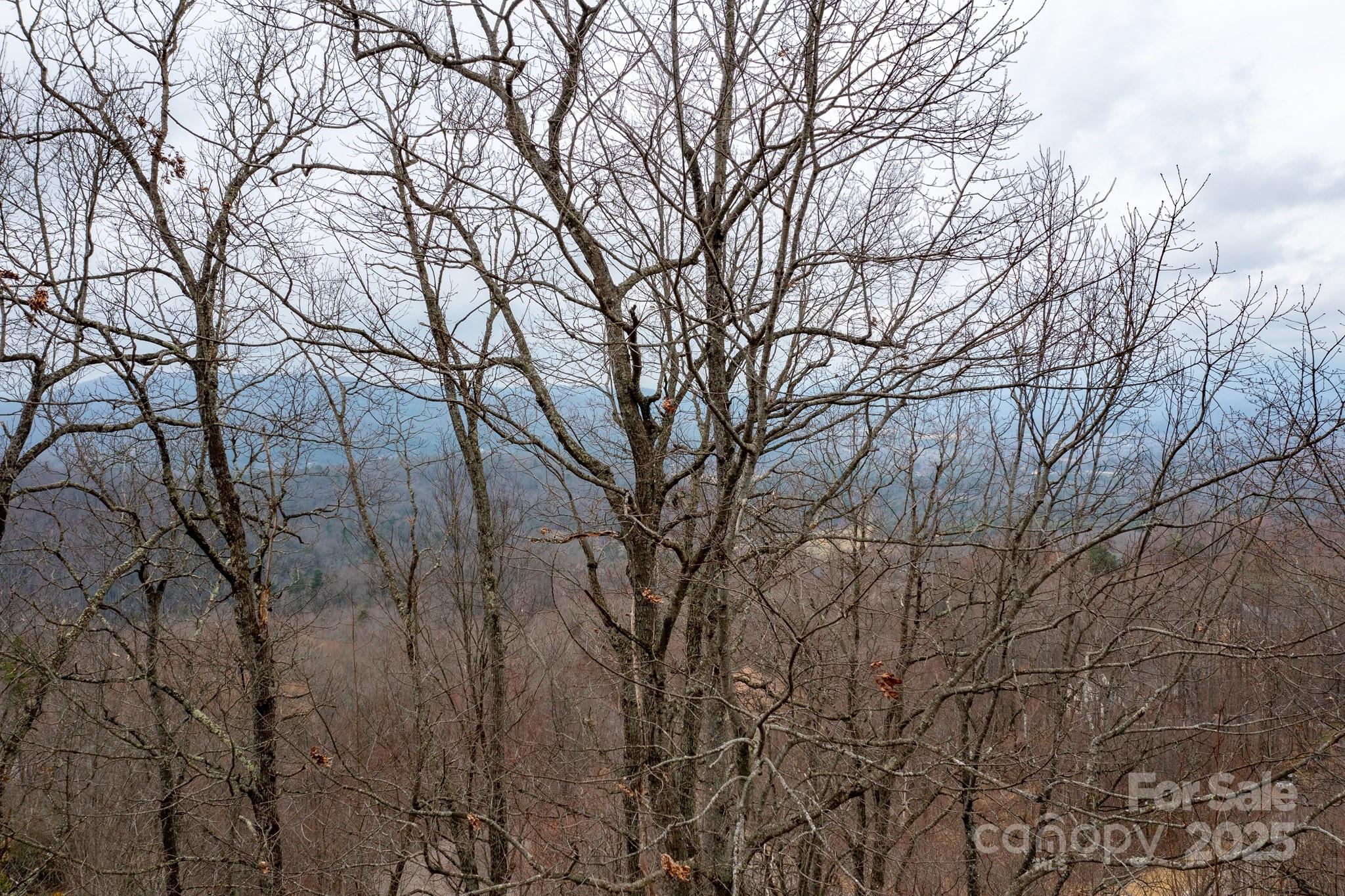 Somersby Park - Land