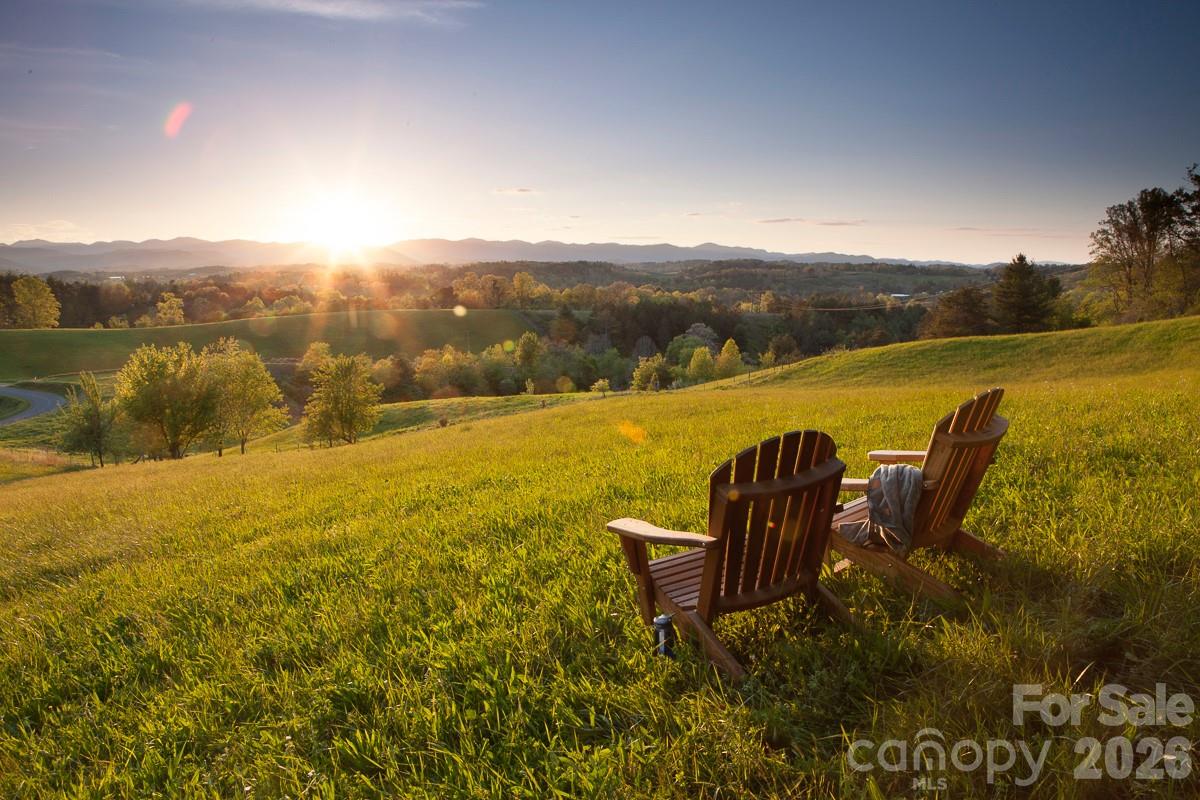 Olivette - Residential