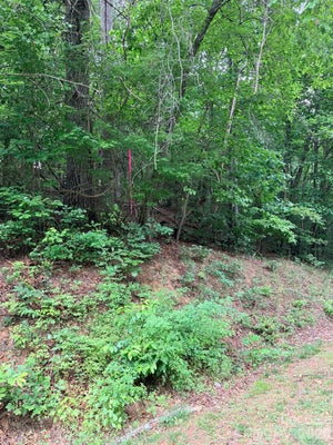 N MARLEY FORD RD, FERGUSON, NC 28624 - Image bc861f49ffd236e2a51792d08df3a736/129980534
