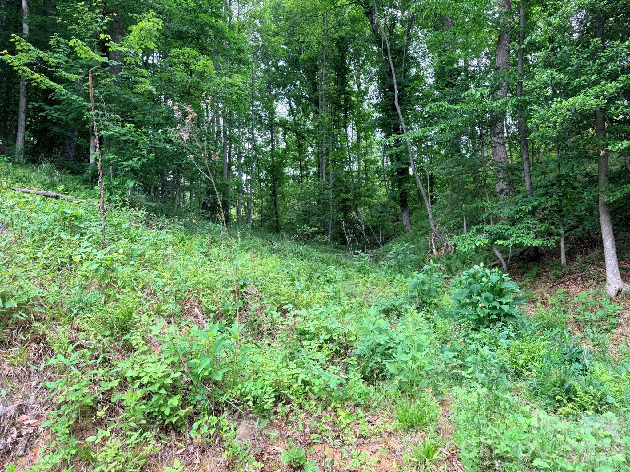 TBD N Marley Ford Road