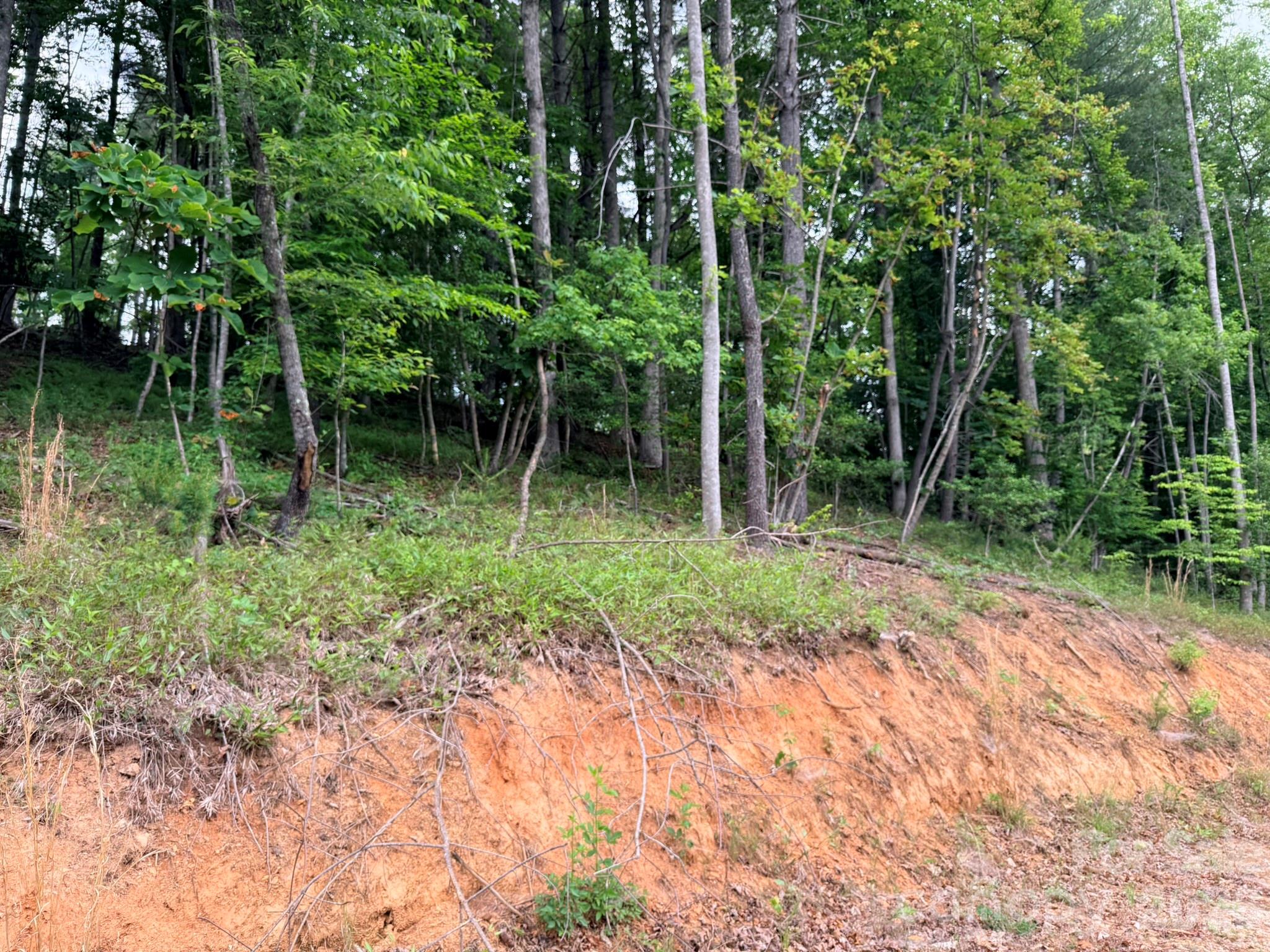 TBD N Marley Ford Road