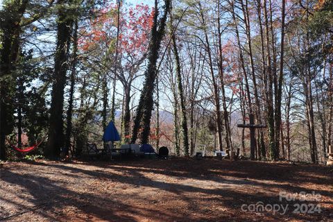 A home in Tryon