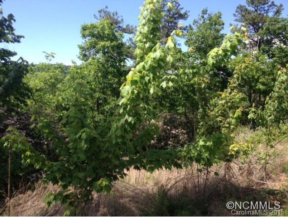 Catawba Falls Preserve - Land