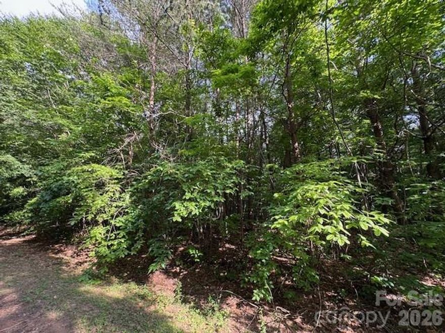 Nestled quietly North Iredell the inviting lot nestled is on just over half an acre. Here, quiet country living meets  gentle breeze. Grab the rare chance to combine with Lot 13 4729041388,  for over a full acre to build your dreams. No HOA, no restrictions—just endless opportunity.